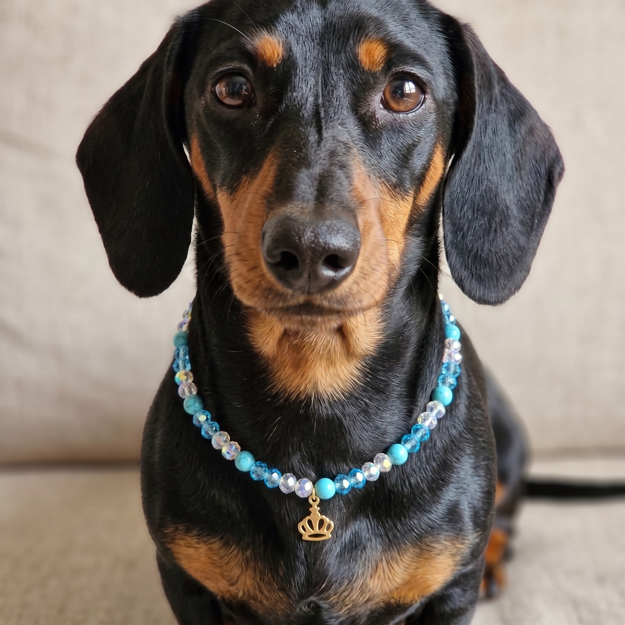 Collana per Cani "Royal Azure" con Pietre Naturali e Ciondolo Corona